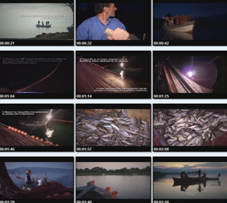 Εικονογραφήματα