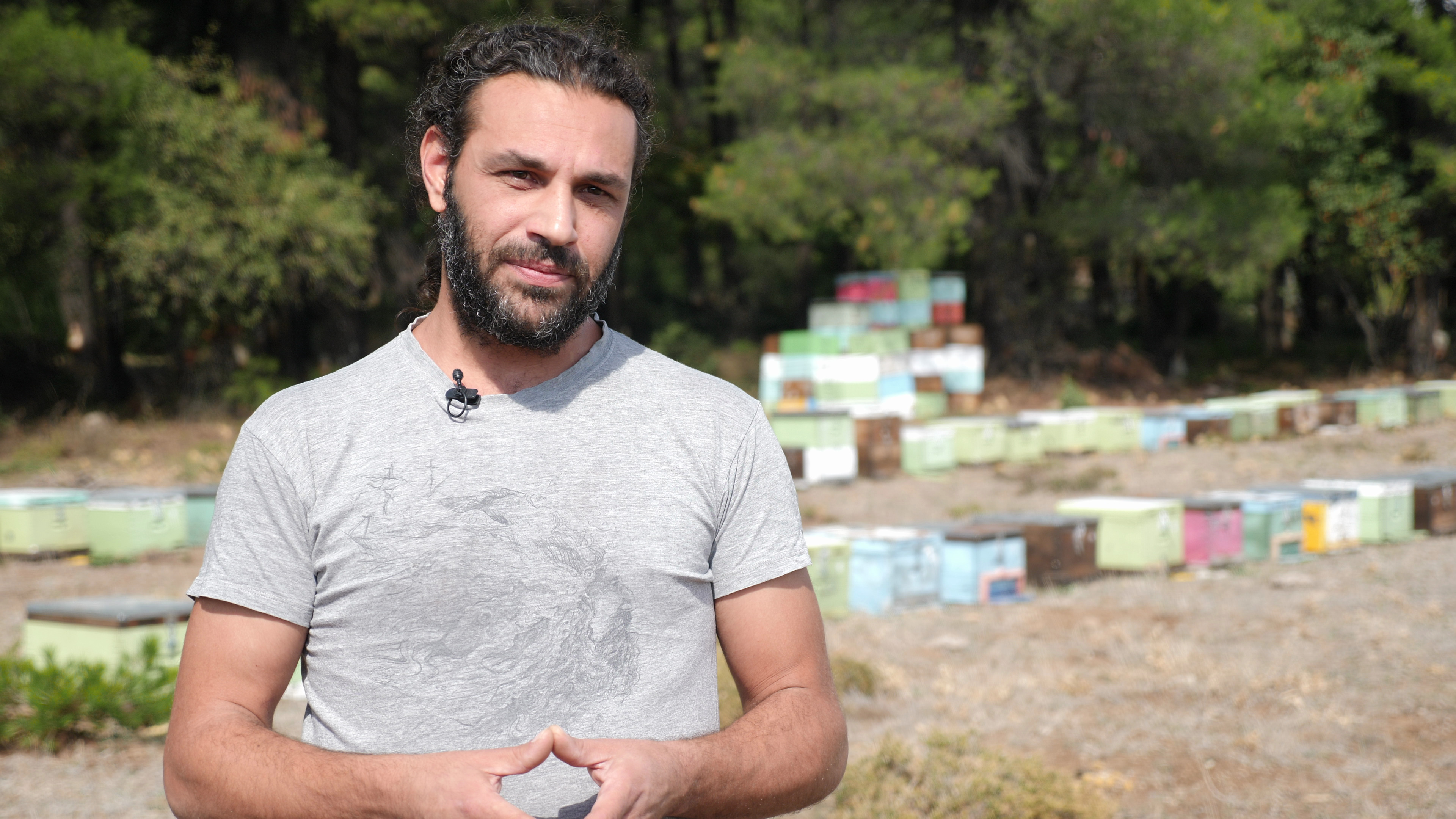 Κάτω από το Πεύκο